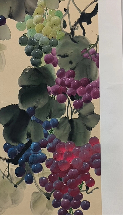 葡萄赋 硕果飘香
