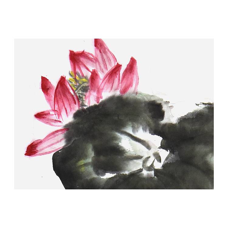 中美协会员 林德冠《高雅》花鸟 96 59