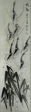 范彩君 虾趣