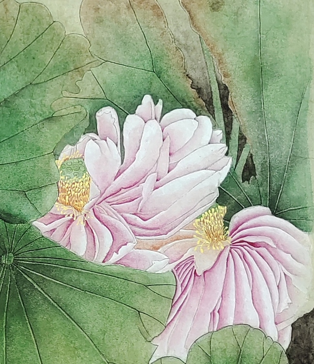 亓夏红 荷气生采