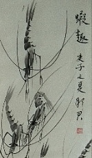 范彩君 虾趣