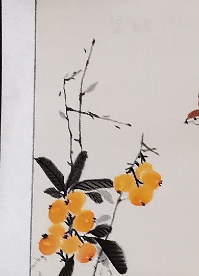 范彩君 五月枇杷鲜