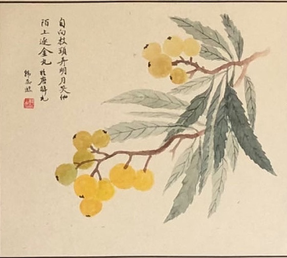 雪中寒蕊 没骨花卉组合