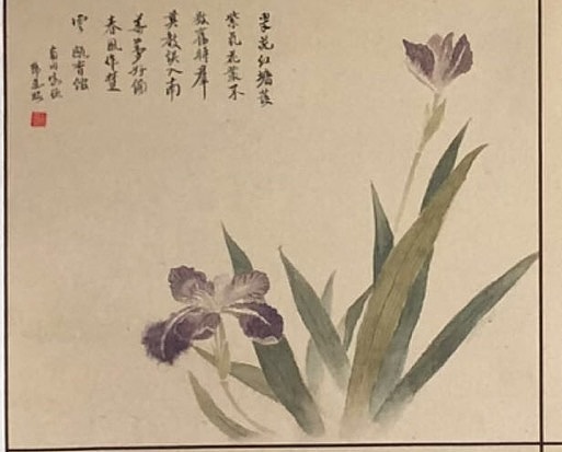 雪中寒蕊 没骨花卉组合