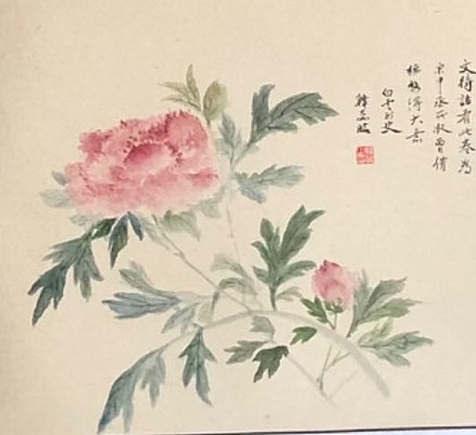 雪中寒蕊 没骨花卉组合