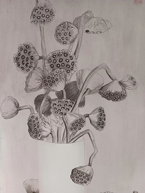 砚沐 静物