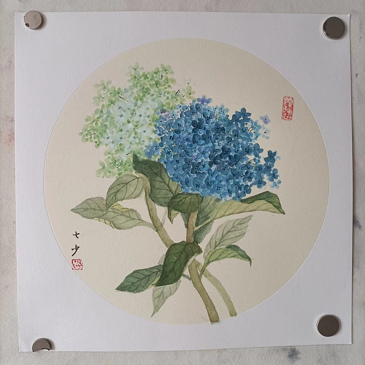 青年书画家 七汐 绣球