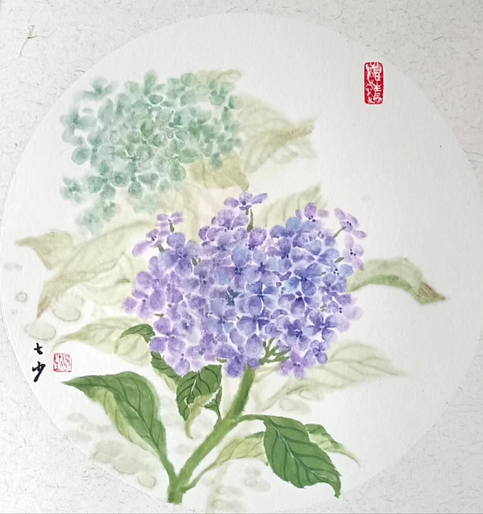 青年书画家 七汐 绣球