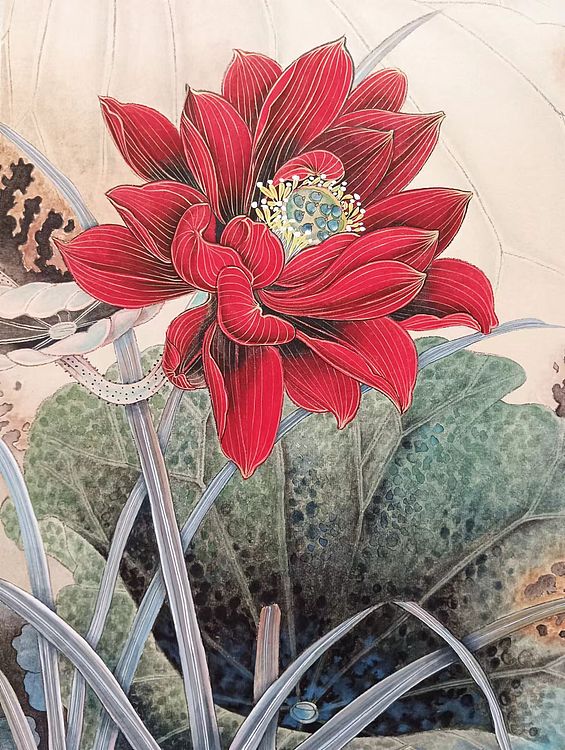 砚沐 红荷