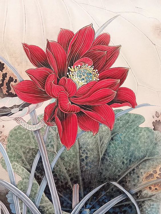 砚沐 红荷