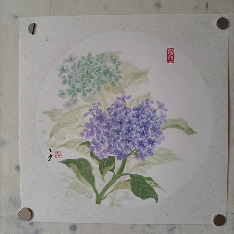 青年书画家 七汐 绣球