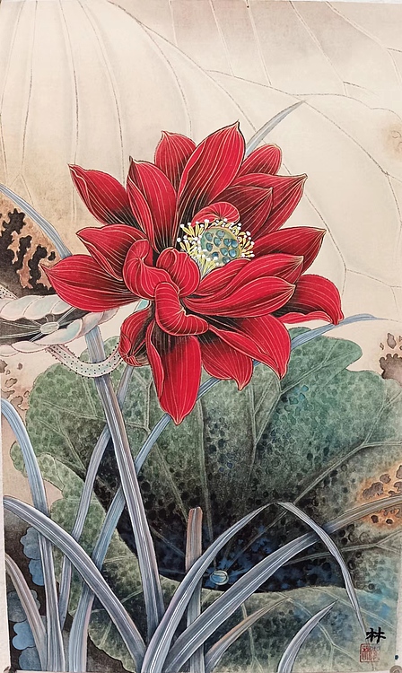 砚沐 红荷