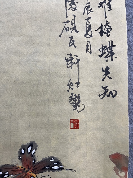 江苏省花鸟画研究会会员  邵红艳 花香难掩蝶先知