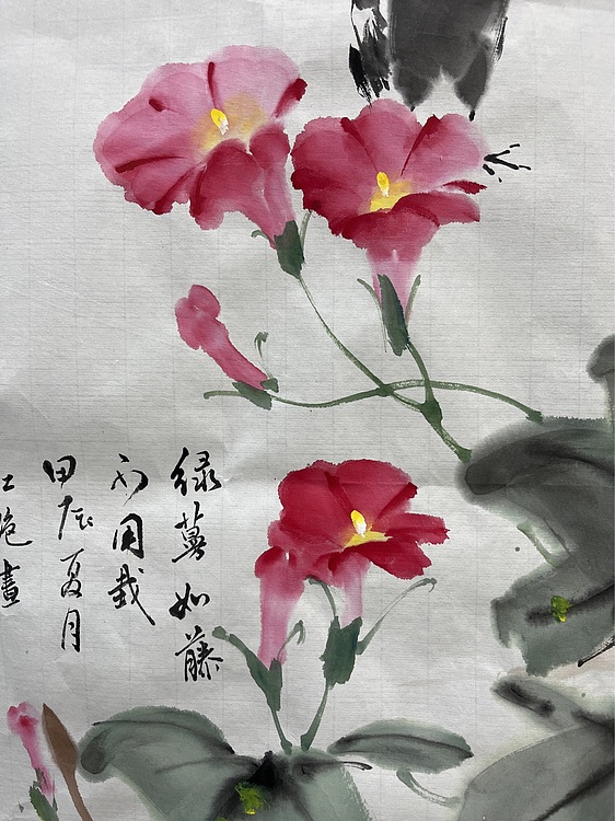 江苏省花鸟画研究会会员  邵红艳 牵牛花