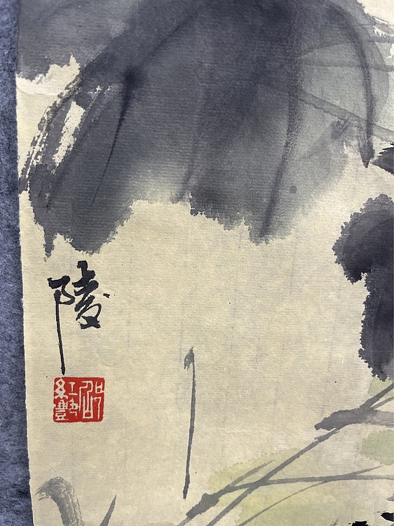江苏省花鸟画研究会会员  邵红艳 芙蓉