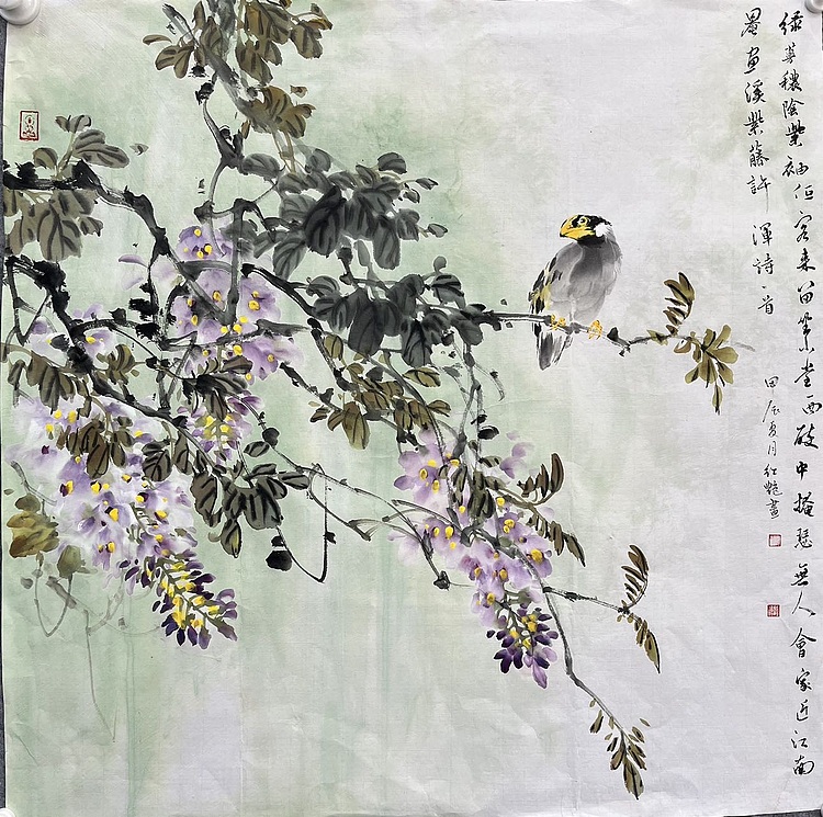 江苏省花鸟画研究会会员  邵红艳 绿蔓秾阴紫袖低