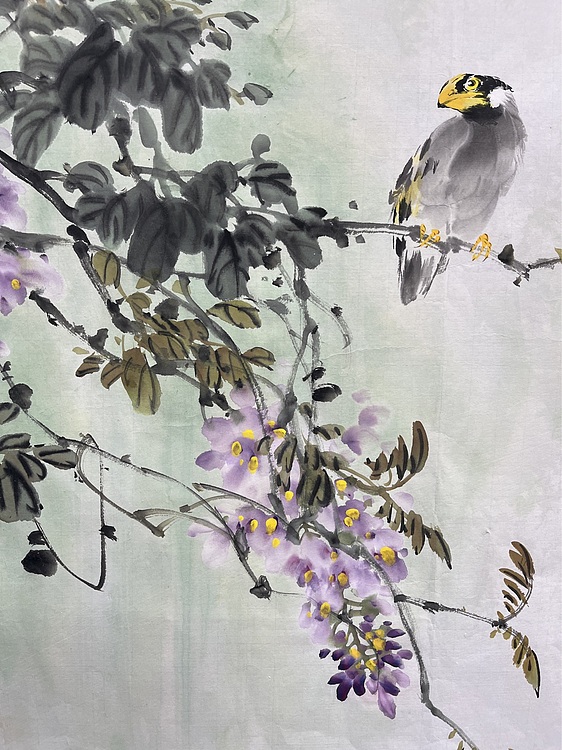 江苏省花鸟画研究会会员  邵红艳 绿蔓秾阴紫袖低