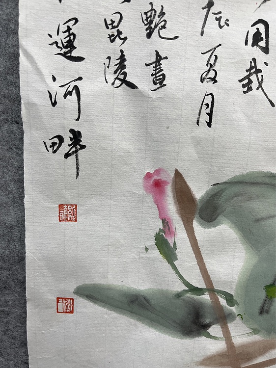 江苏省花鸟画研究会会员  邵红艳 牵牛花
