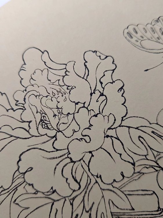 王新 牡丹富贵