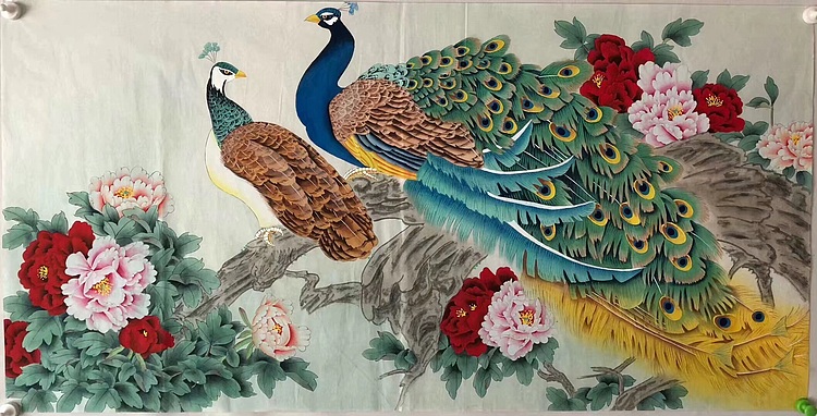 王振兴 孔雀