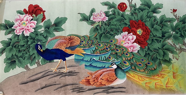 王振兴 孔雀