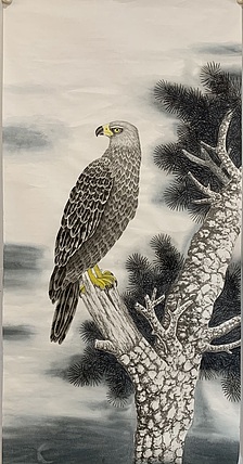 王振兴 动物