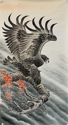 王振兴 鹰?
