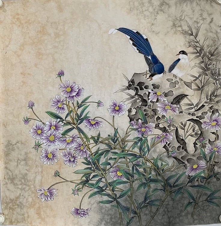 王振兴 鸟语花香