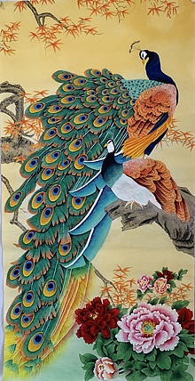 王振兴 孔雀