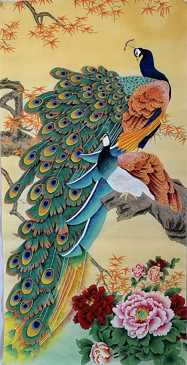 王振兴 孔雀