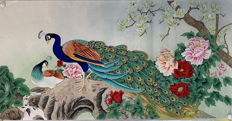 王振兴 孔雀