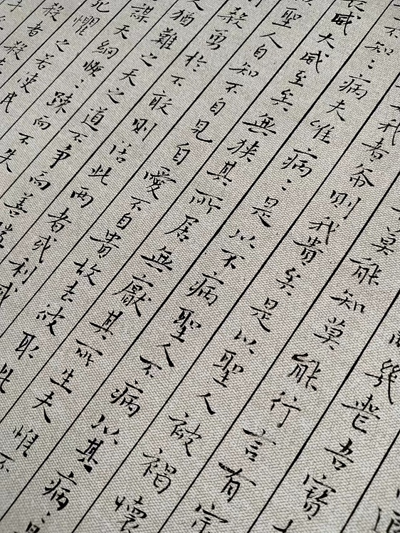 贺文忠 贺文忠小楷《道德经》长卷