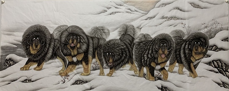 王振兴 藏獒