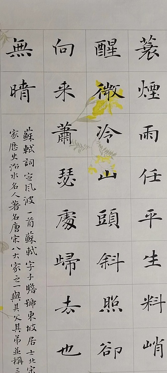 贺文忠 贺文忠楷书苏轼词《定风波》