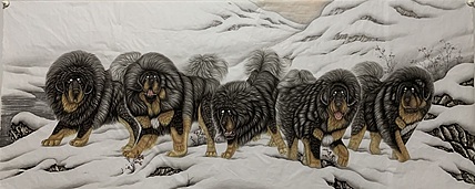 王振兴 藏獒