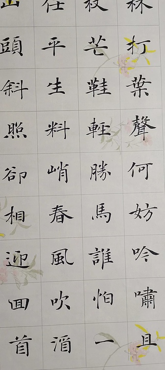 贺文忠 贺文忠楷书苏轼词《定风波》