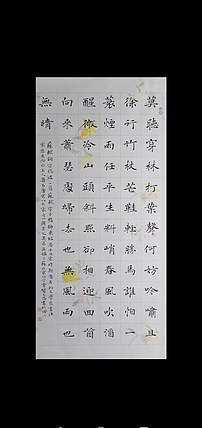 贺文忠 贺文忠楷书苏轼词《定风波》