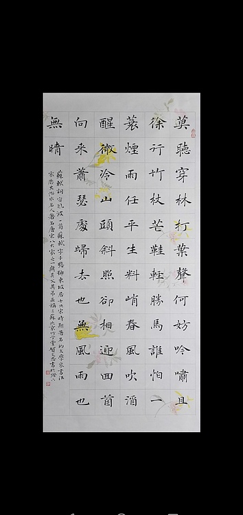 贺文忠 贺文忠楷书苏轼词《定风波》