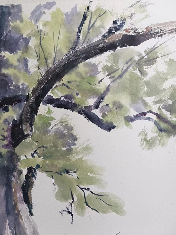 青年书画家 李双 翠影擎天