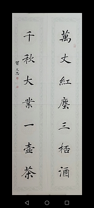 贺文忠 贺文忠楷书书房联《万丈红尘三杯酒，千秋大业一壶茶》