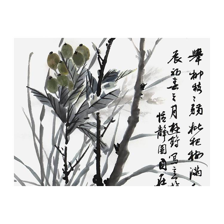 河北省美协、书协会员 游鹤《枇杷满枝》花鸟 70 35
