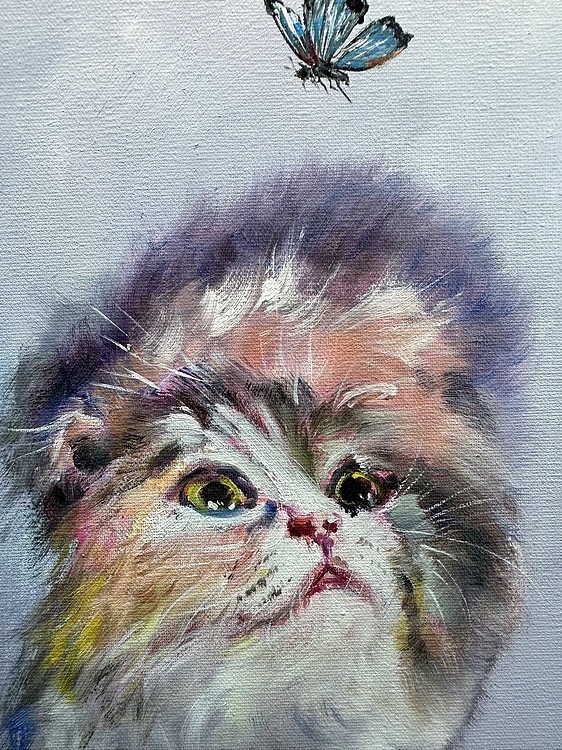 梁峰 小猫咪