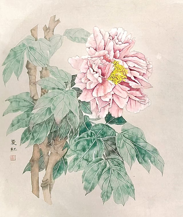 亓夏红 没骨牡丹