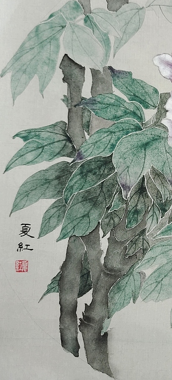 亓夏红 没骨牡丹