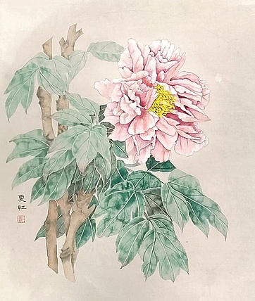 亓夏红 没骨牡丹