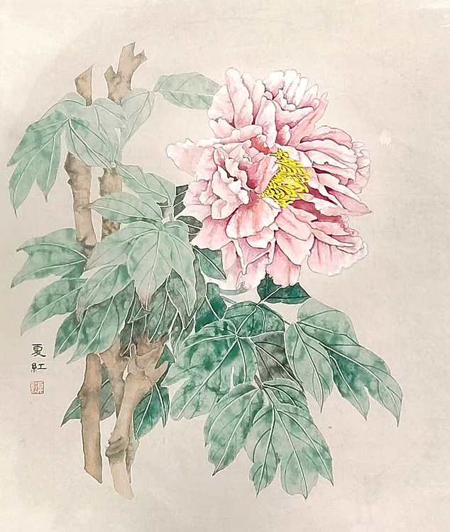 亓夏红 没骨牡丹