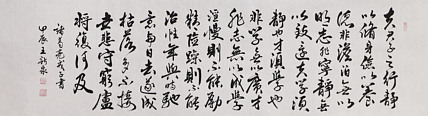 中国书法家协会会员 王新泉