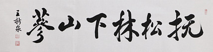 中国书法家协会会员 王新泉