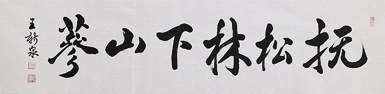 中国书法家协会会员 王新泉