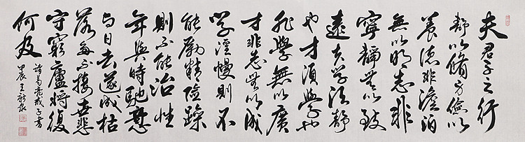 中国书法家协会会员 王新泉